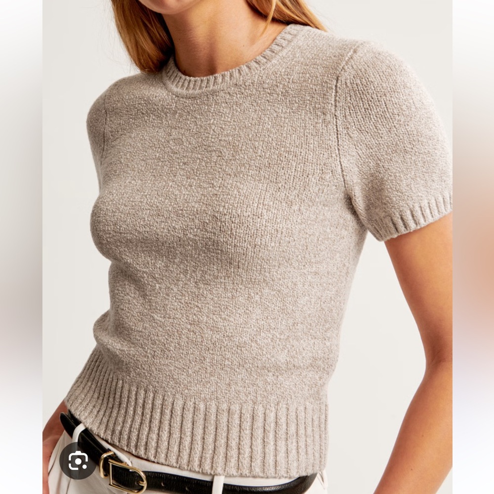 Abercrombie & Fitch - Textural Crew Sweater Tee in Clay Brown, XS